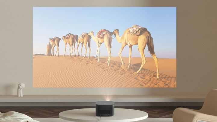 XGIMI Horizon Pro offers a view of camels.