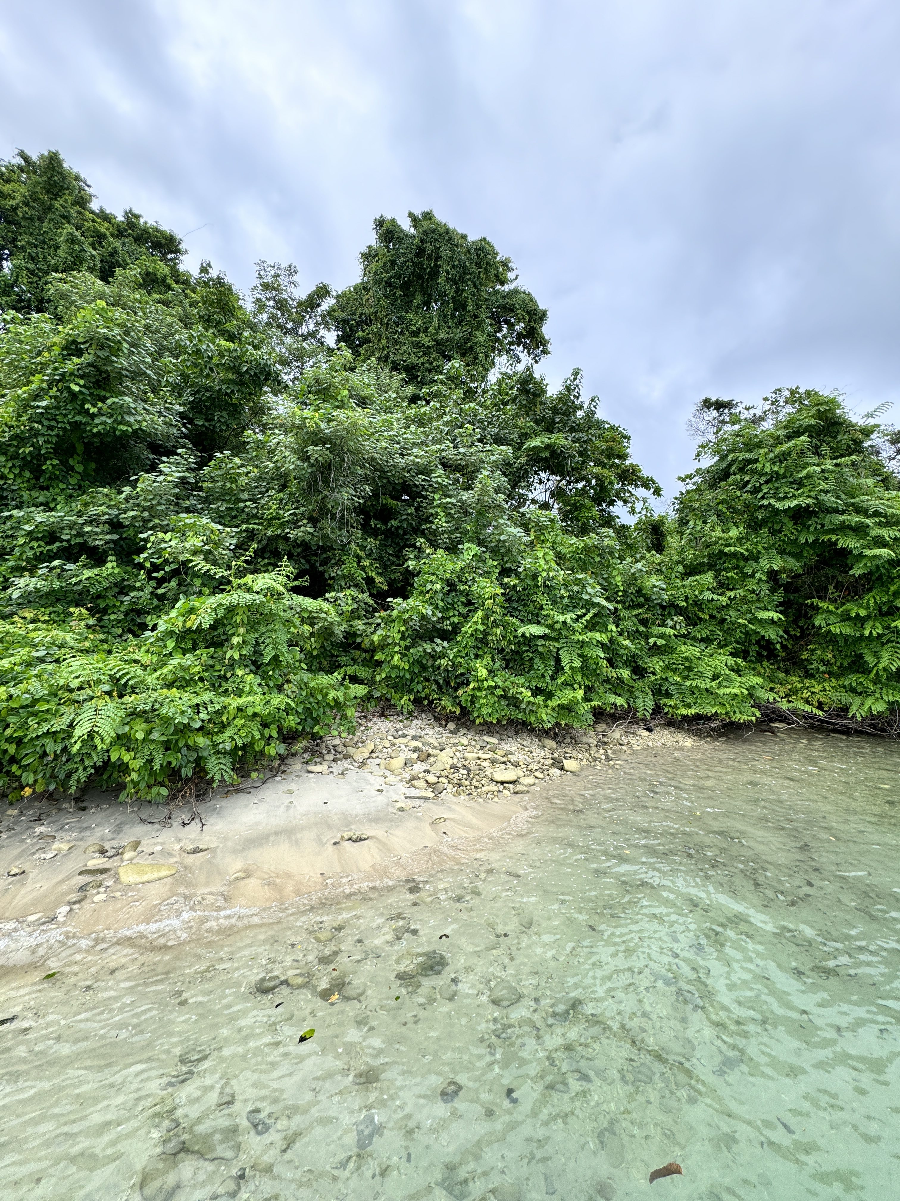 Nature shot with trees, sand and water on iPhone 15 Pro Photographic Style Vibrant Cool.