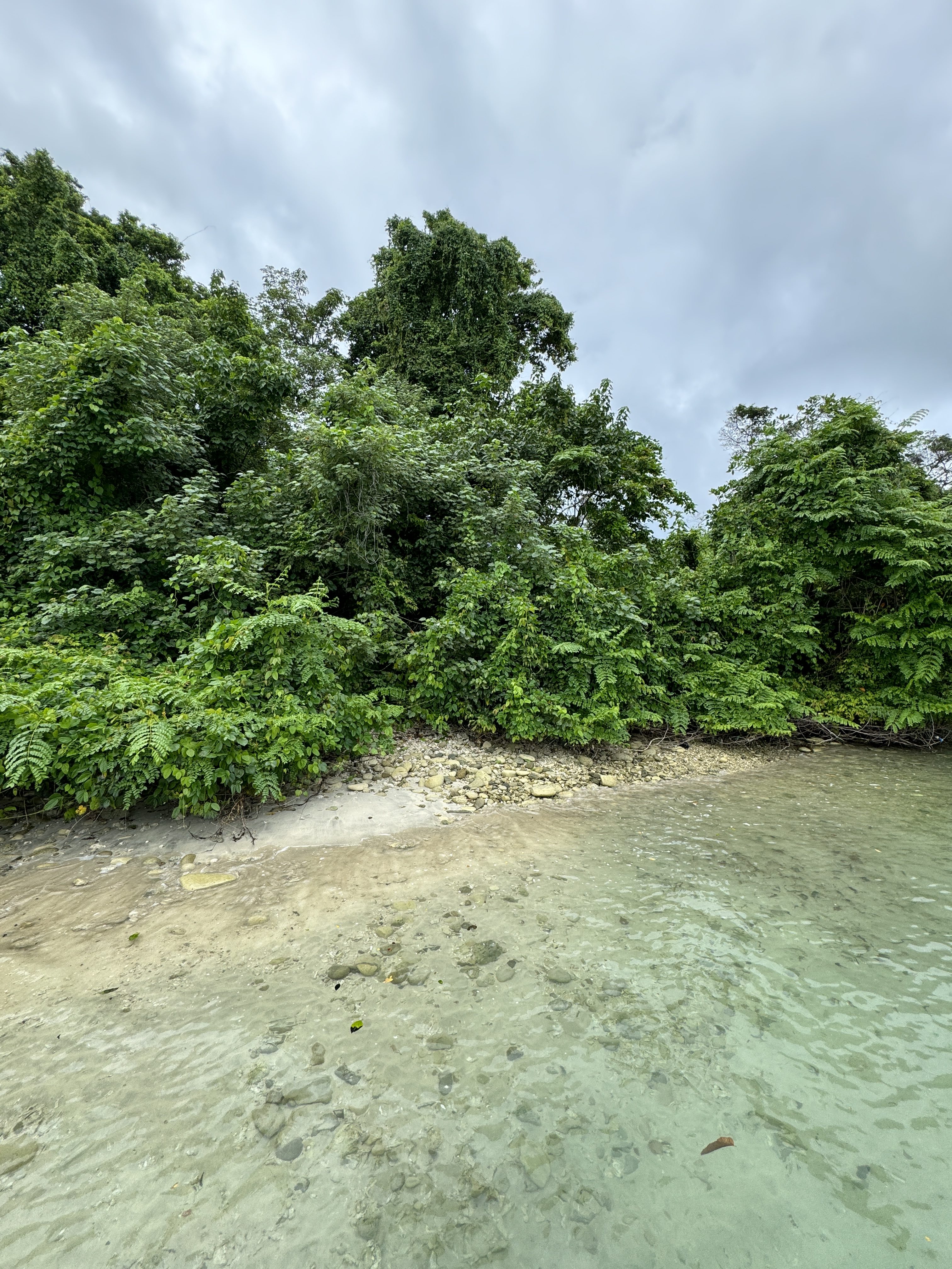 Nature shot with trees, sand and water on iPhone 15 Pro Photographic Style Standard.