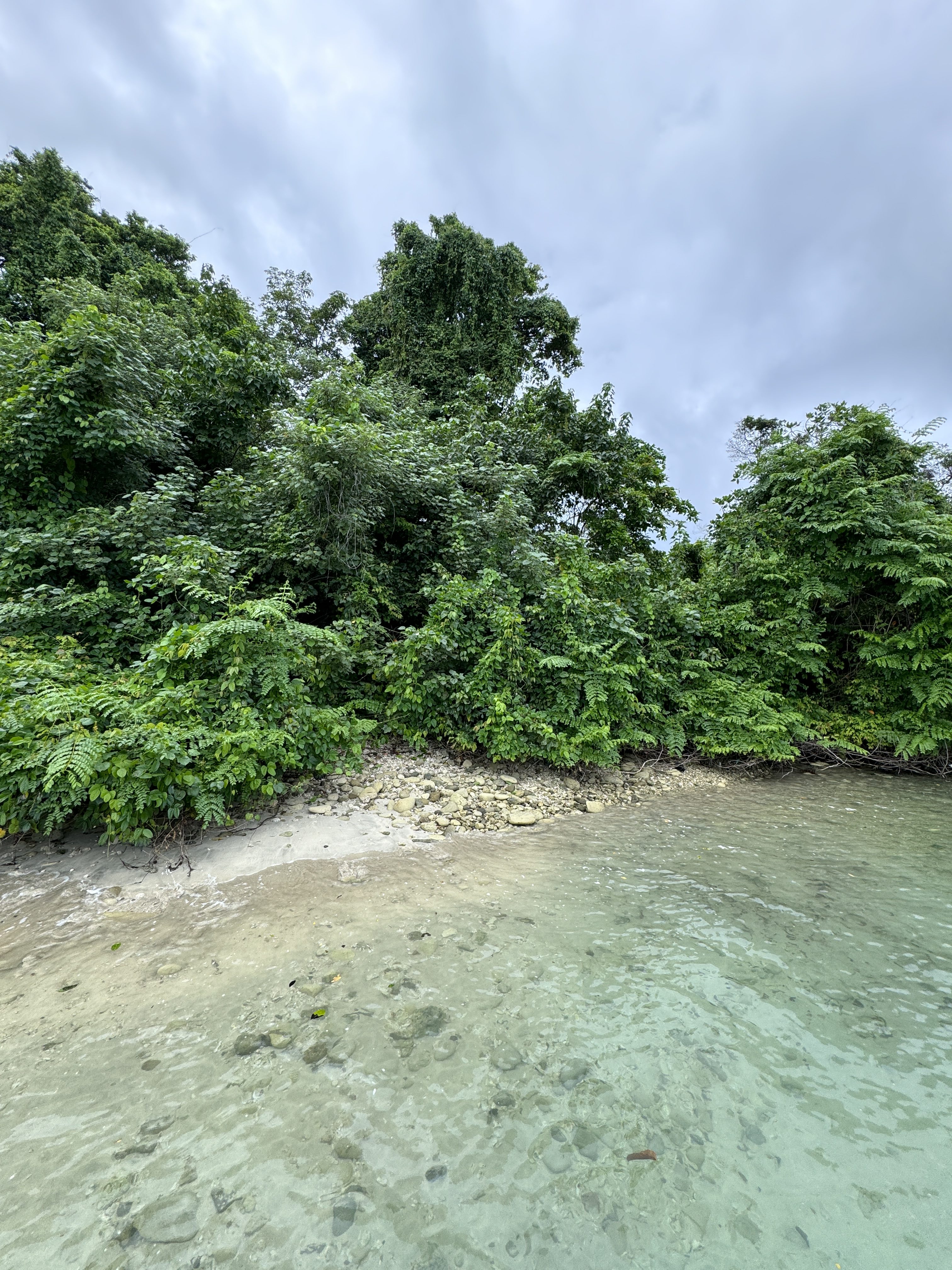 Nature shot with trees, sand and water on iPhone 15 Pro Photographic Style Colonel