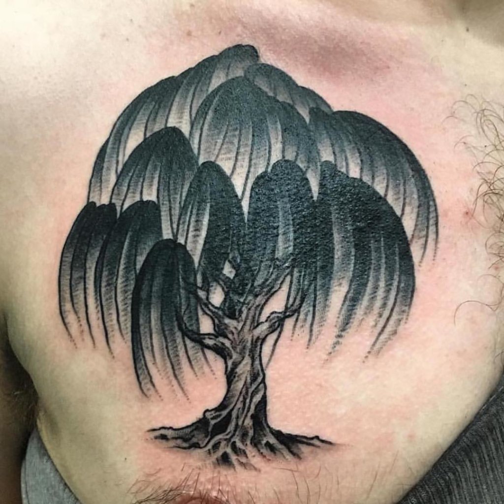 willow tree tattoo