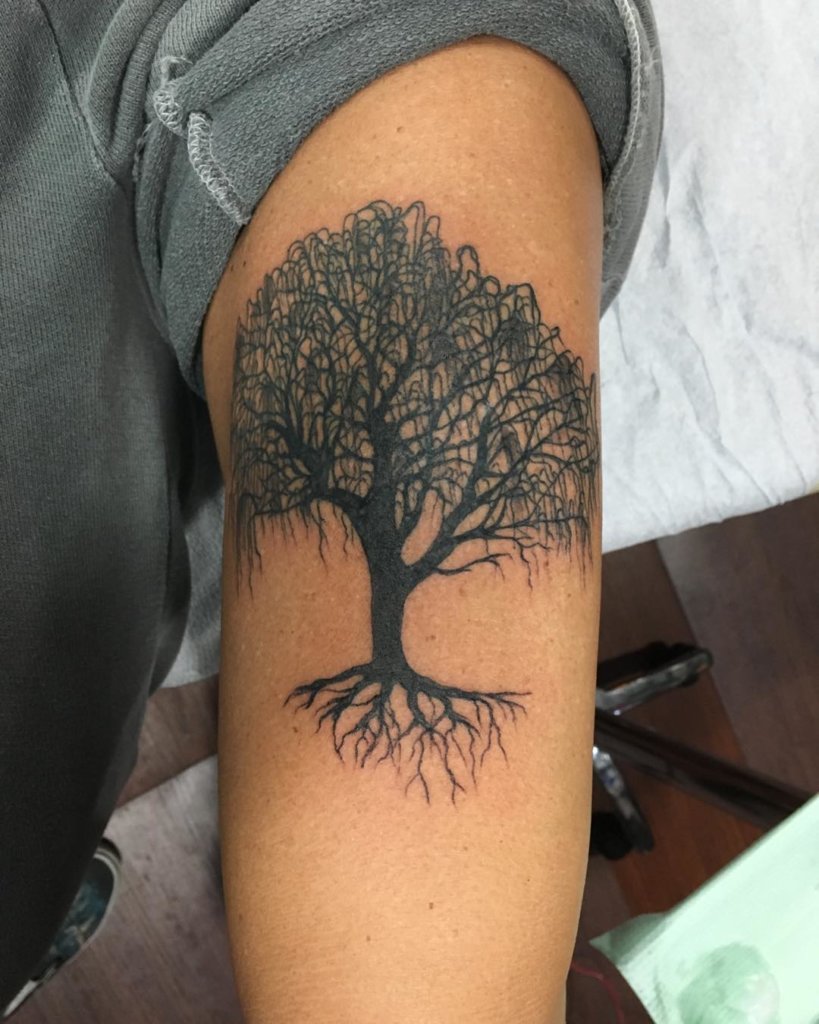 willow tree tattoo