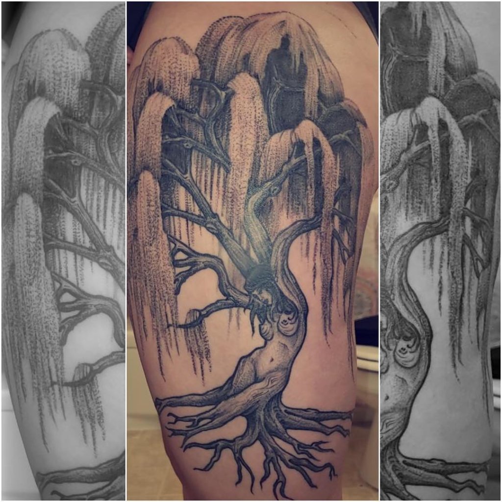 willow tree tattoo