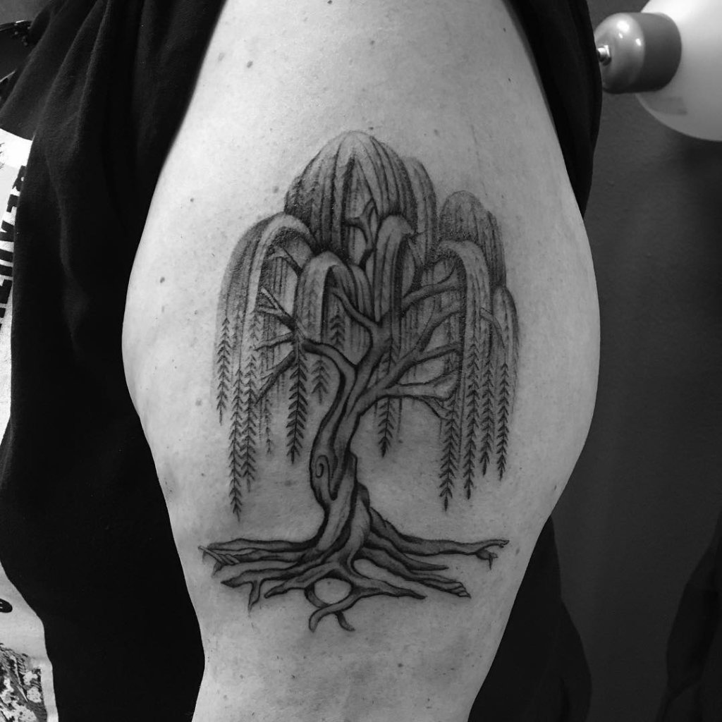 willow tree tattoo