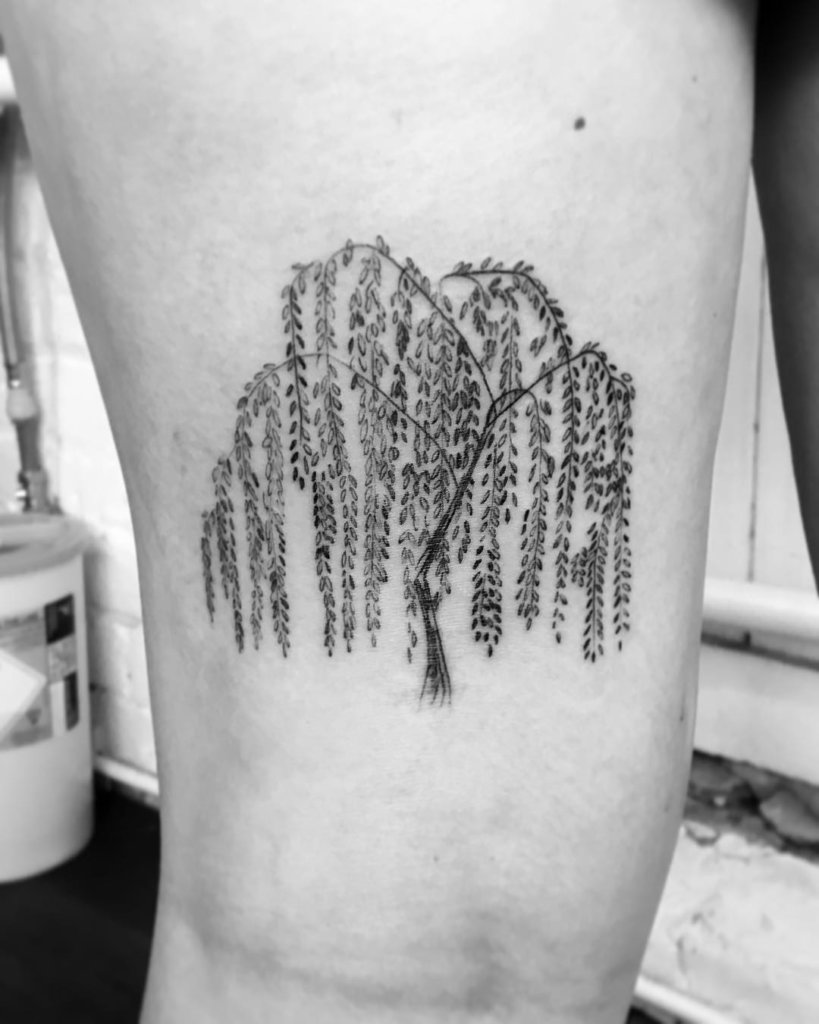 willow tree tattoo