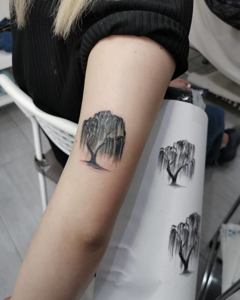 willow tree tattoo