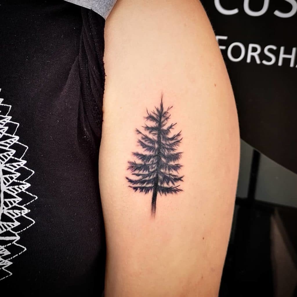 pine tree tattoo