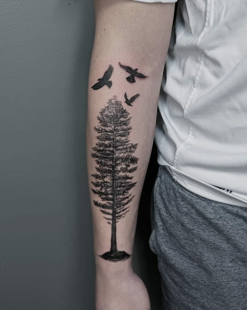 pine tree tattoo