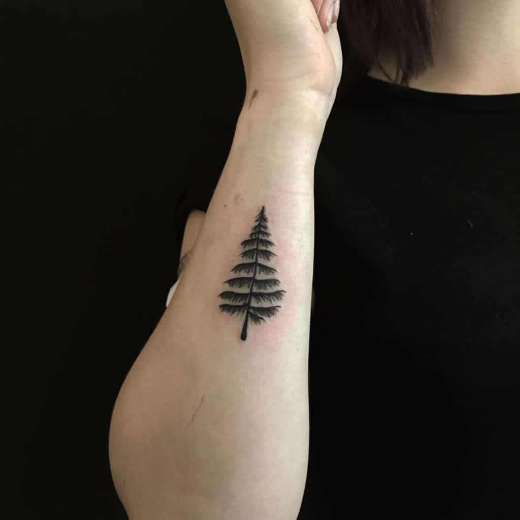 pine tree tattoo