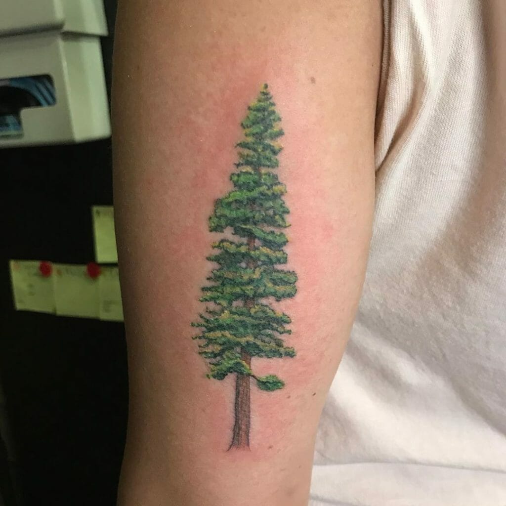 pine tree tattoo