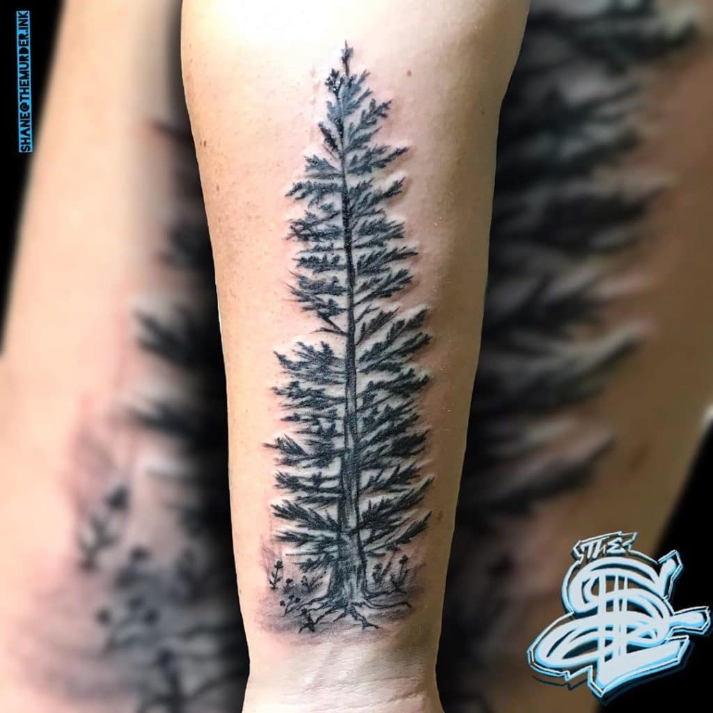 pine tree tattoo