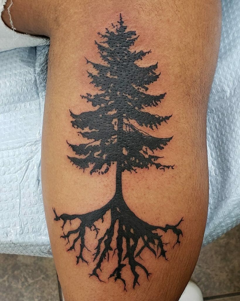 pine tree tattoo