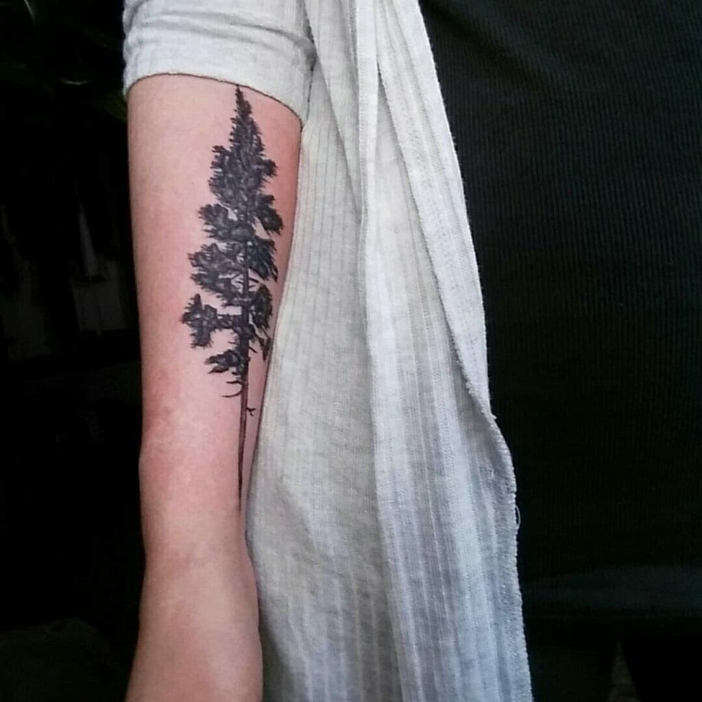 pine tree tattoo