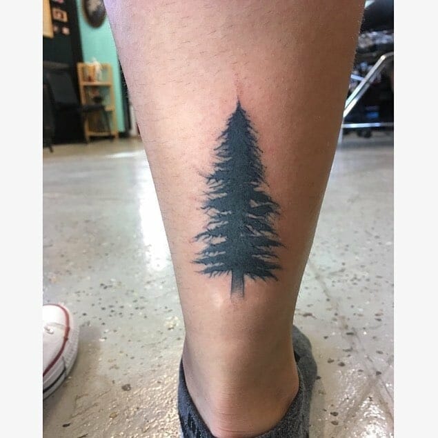 pine tree tattoo