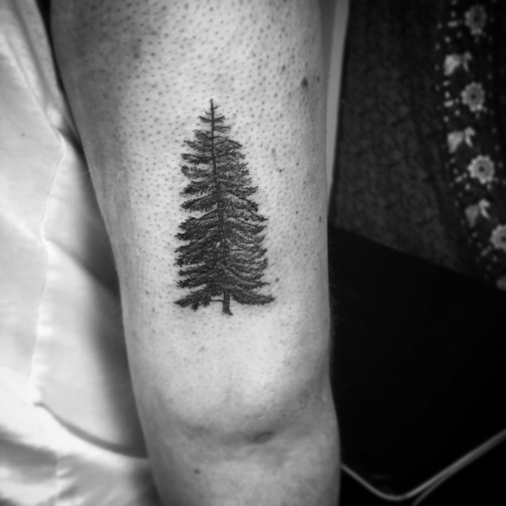 pine tree tattoo