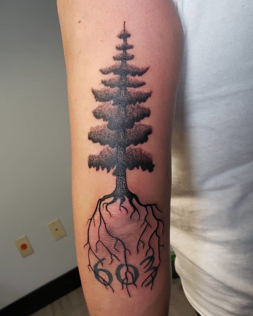 pine tree tattoo