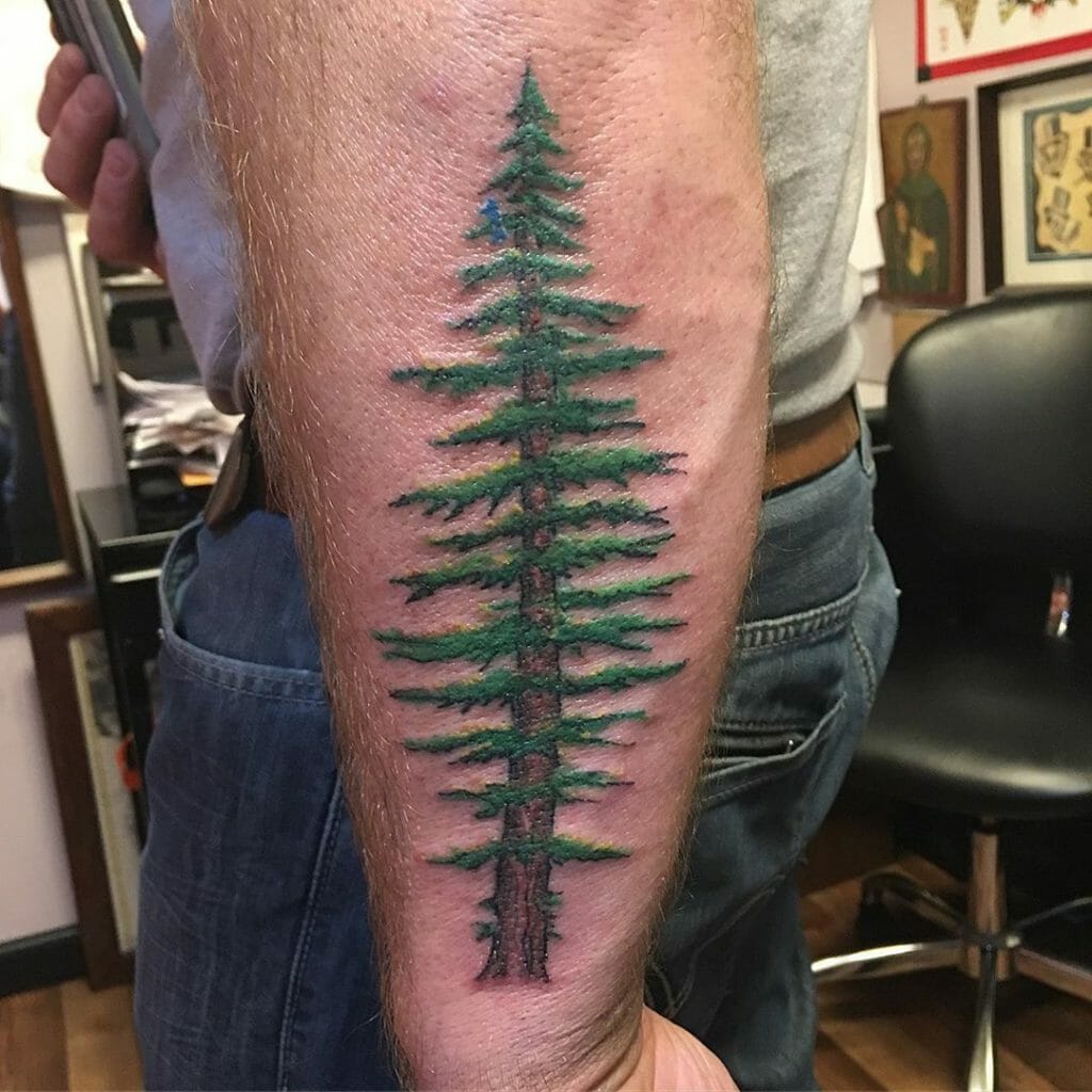 pine tree tattoo