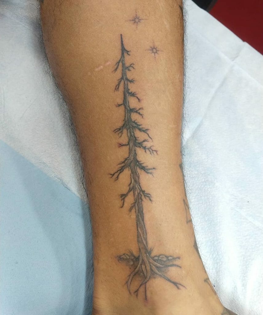 pine tree tattoo