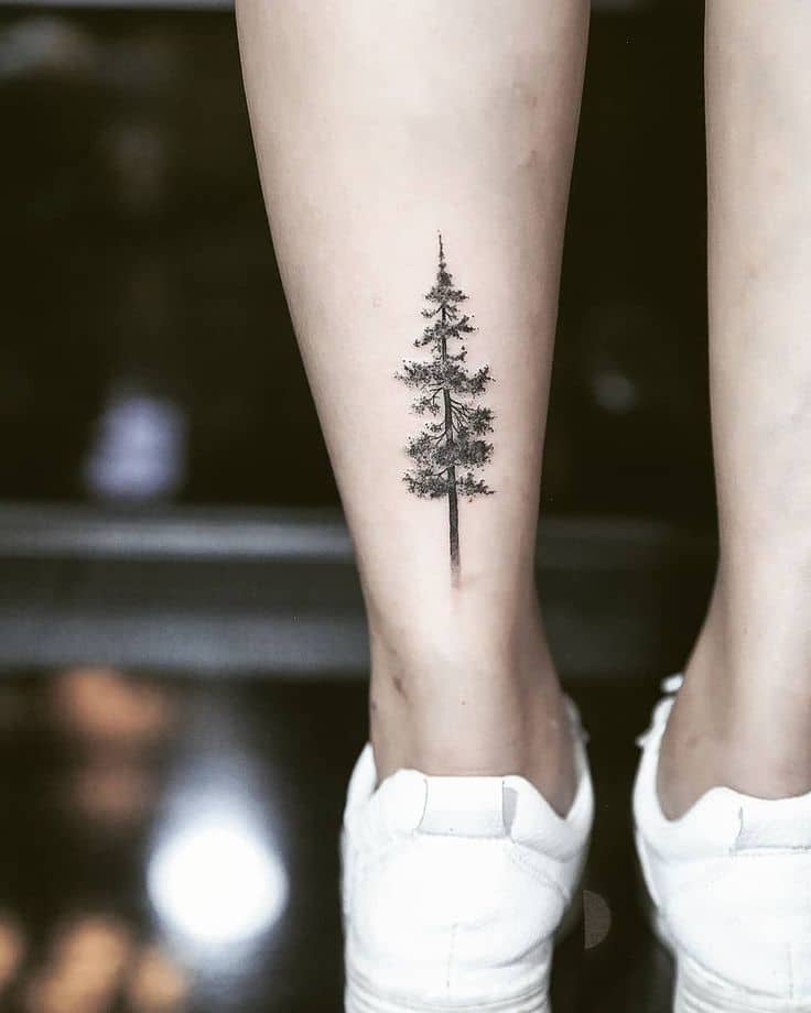 pine tree tattoo