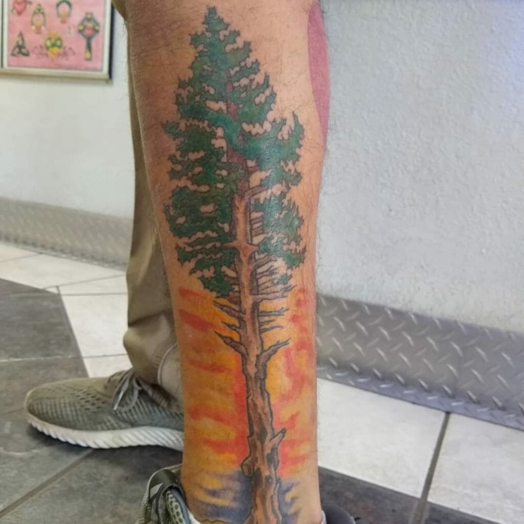 pine tree tattoo