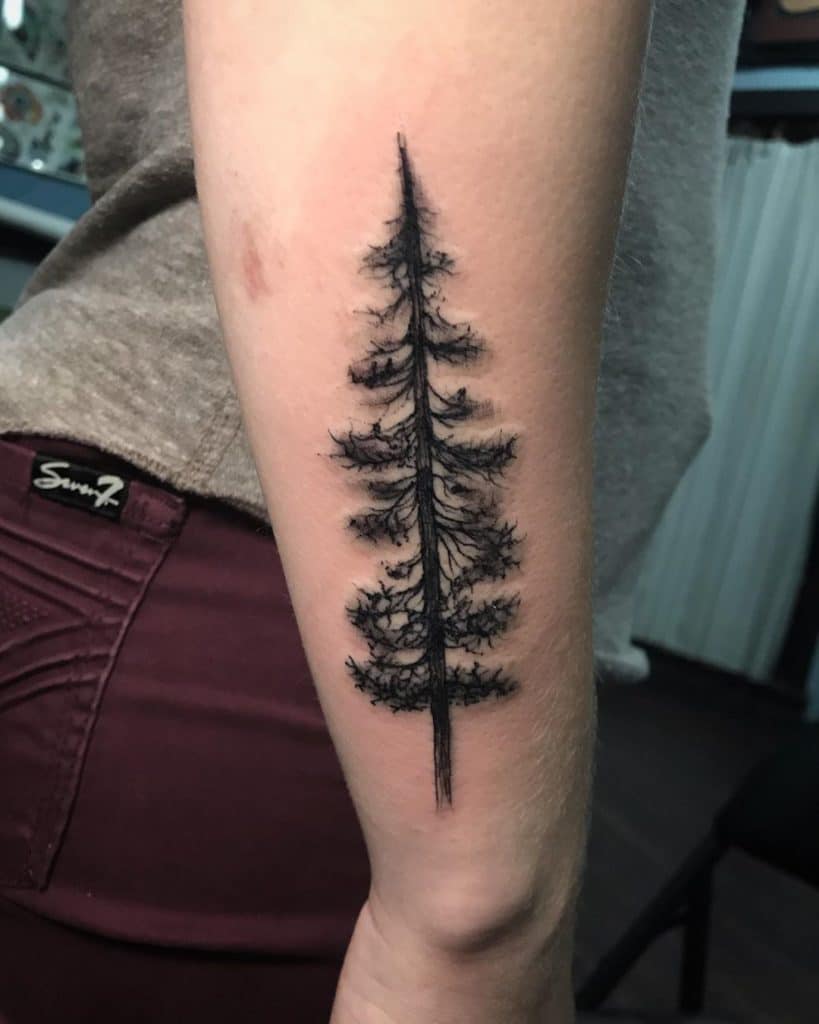 pine tree tattoo