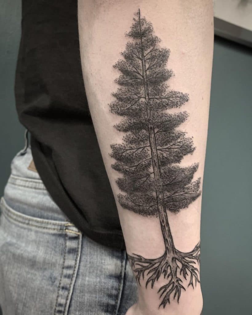 pine tree tattoo