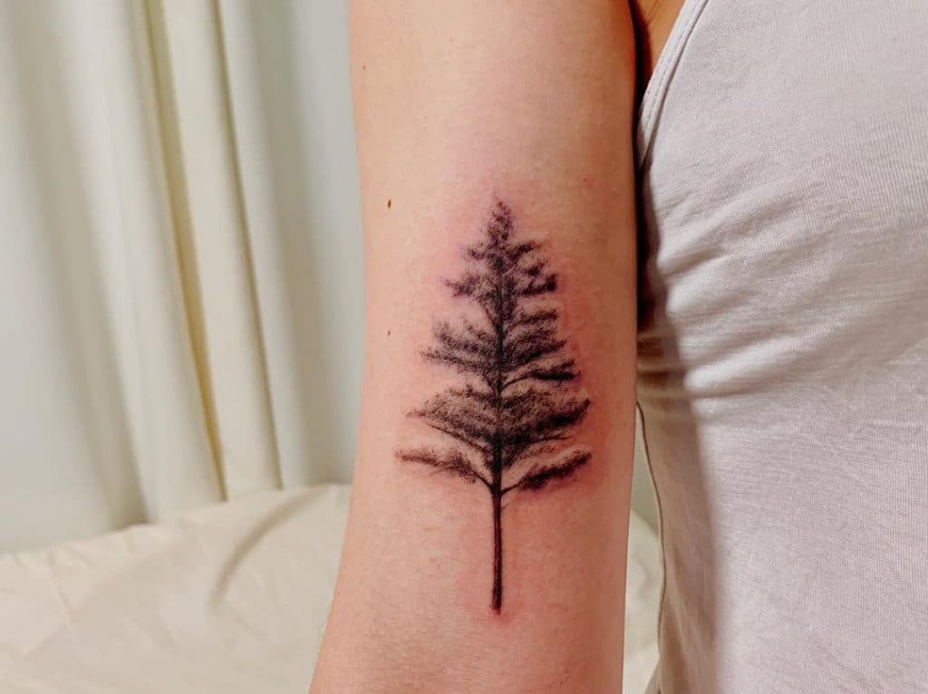 pine tree tattoo