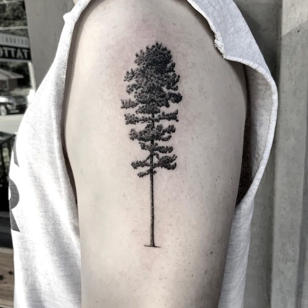 pine tree tattoo