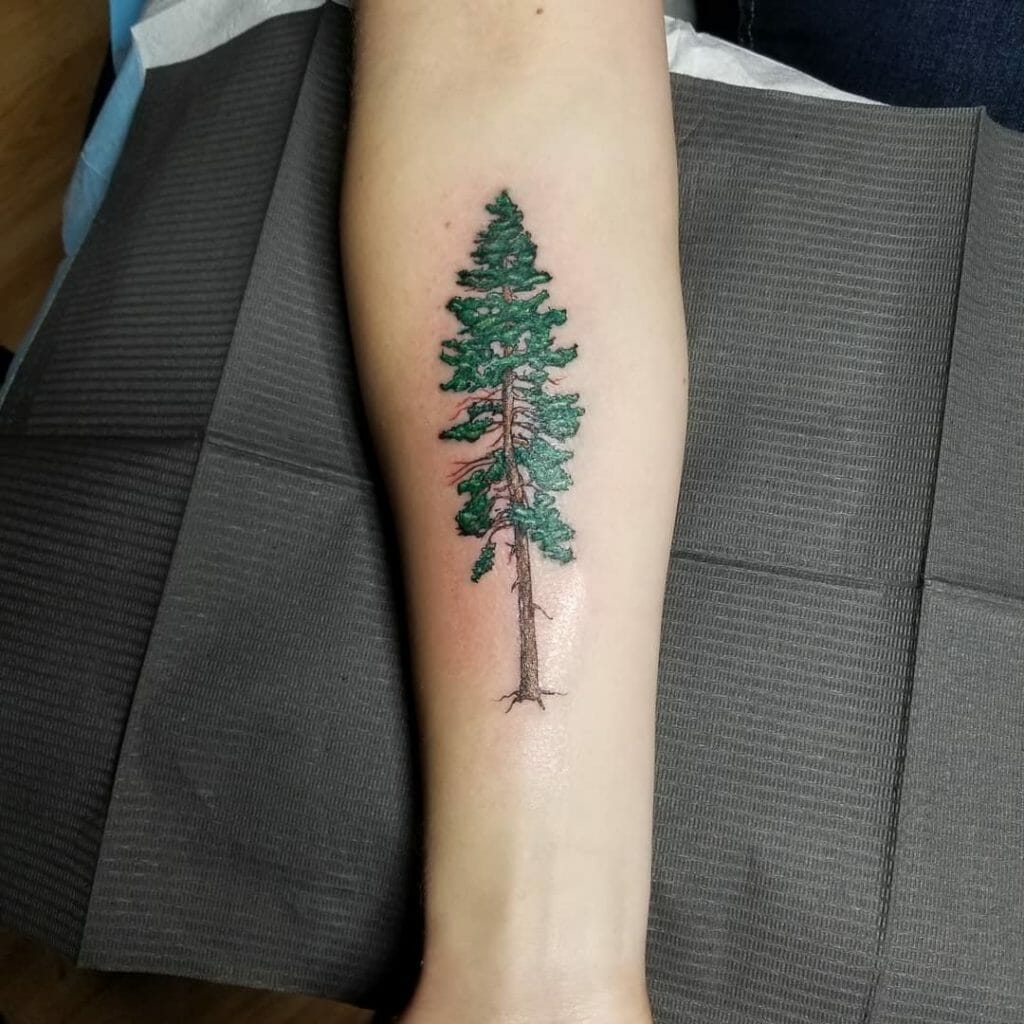 pine tree tattoo