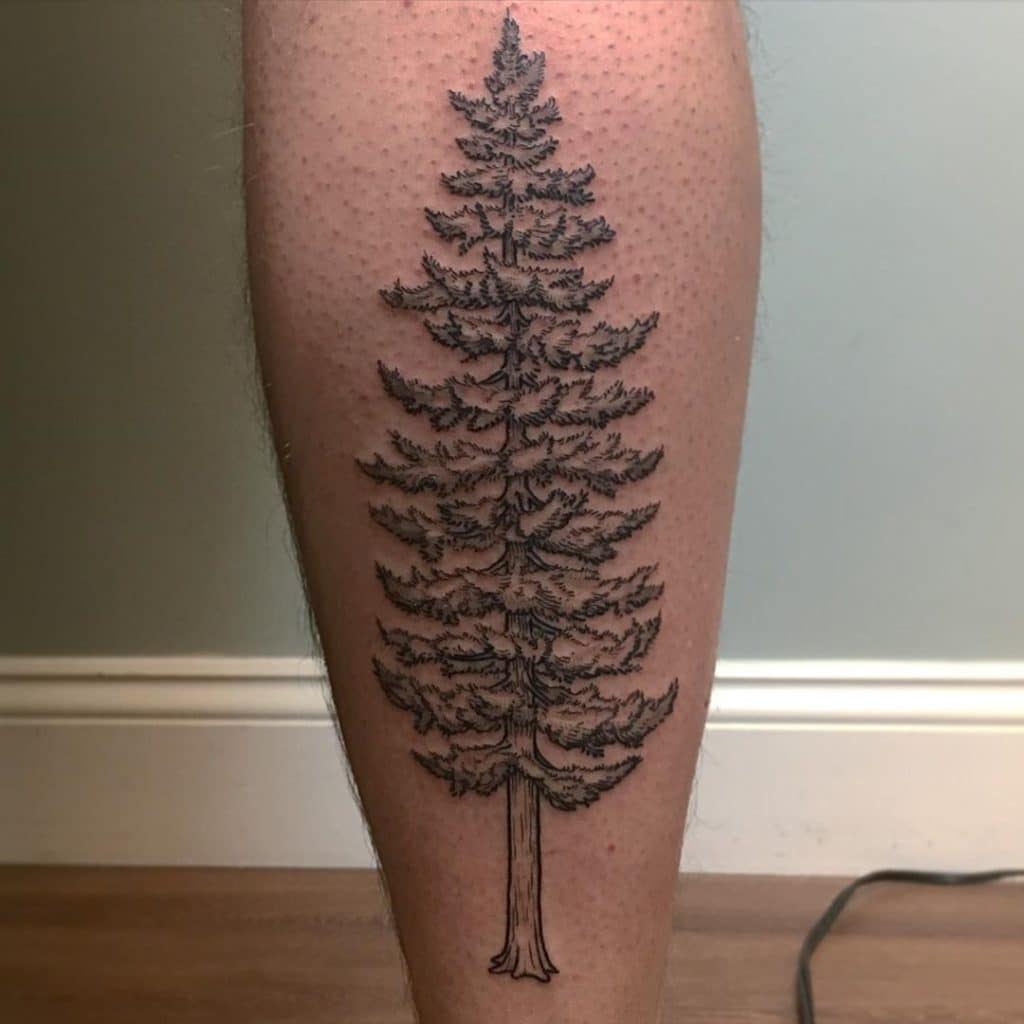 pine tree tattoo