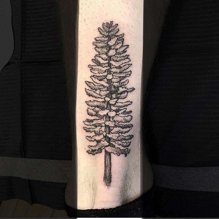 pine tree tattoo