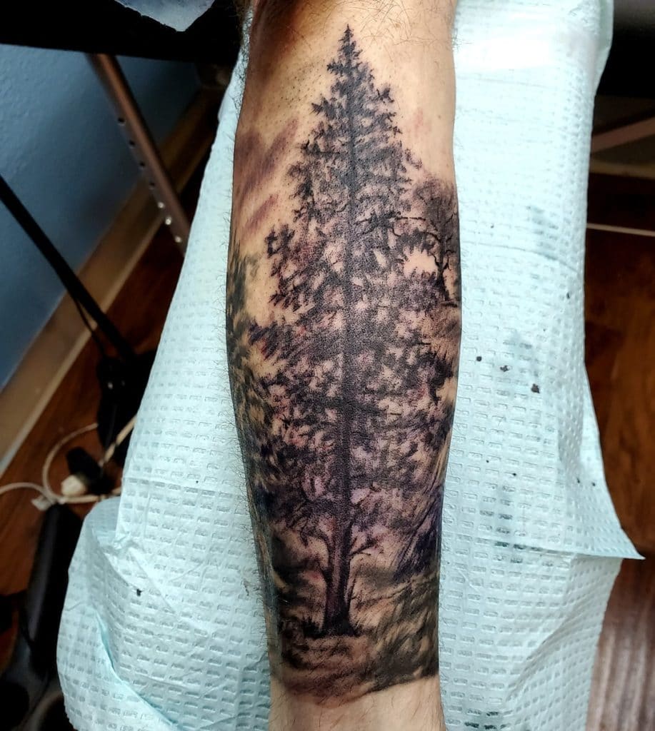 pine tree tattoo