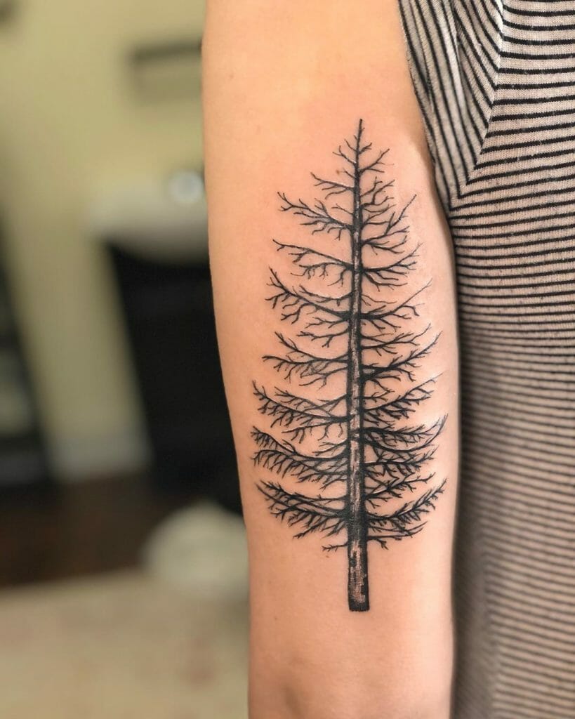 pine tree tattoo