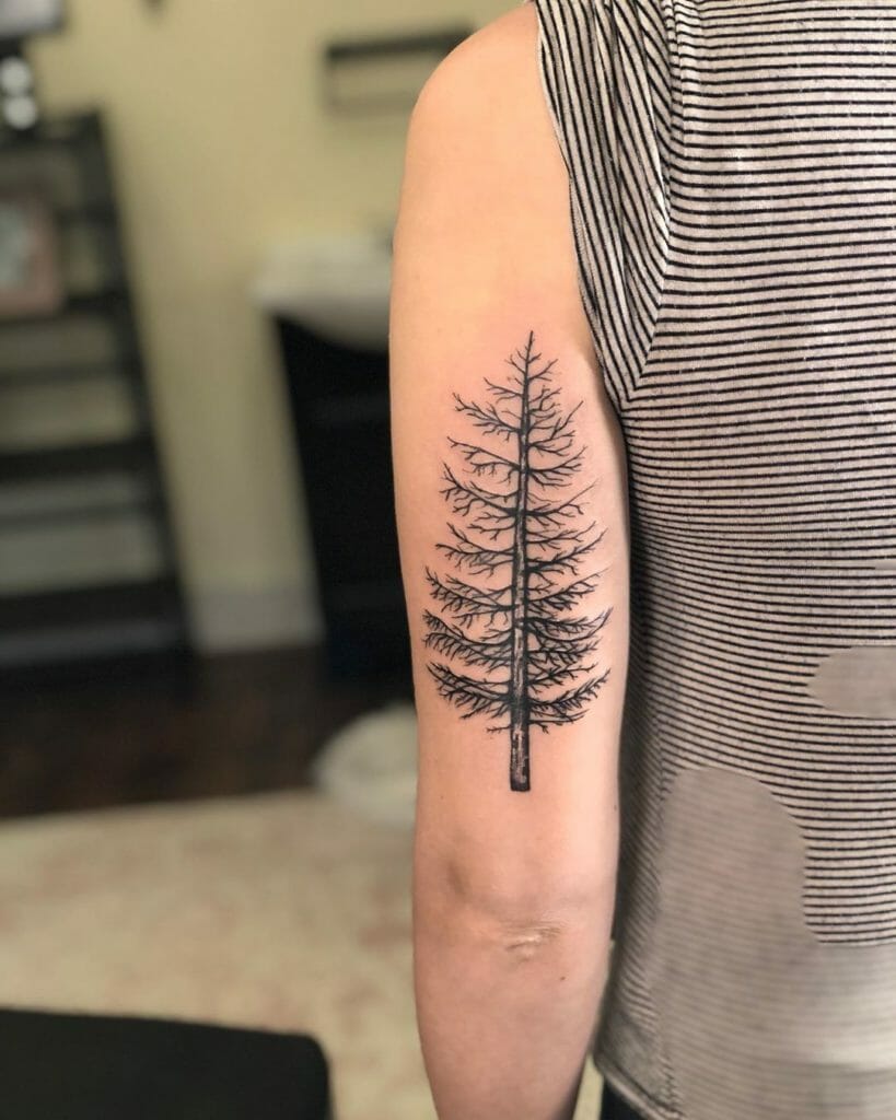 pine tree tattoo