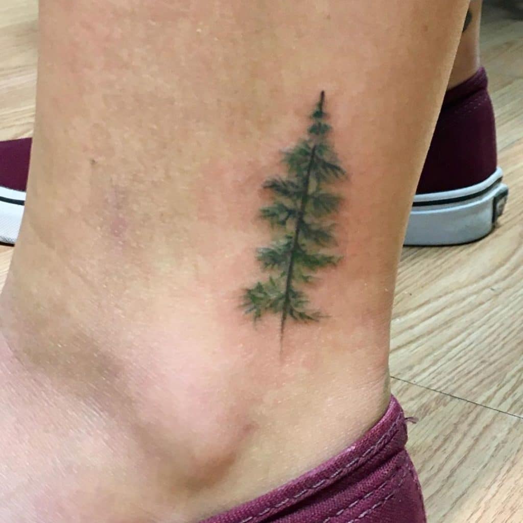 pine tree tattoo