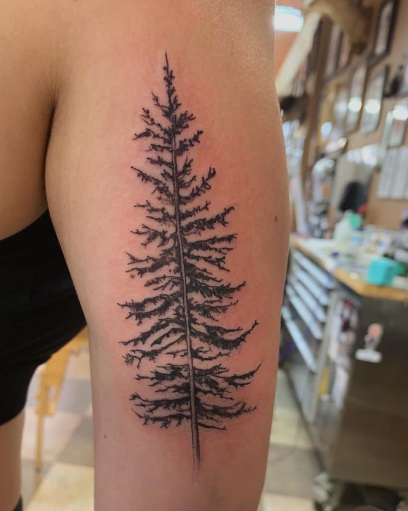 pine tree tattoo