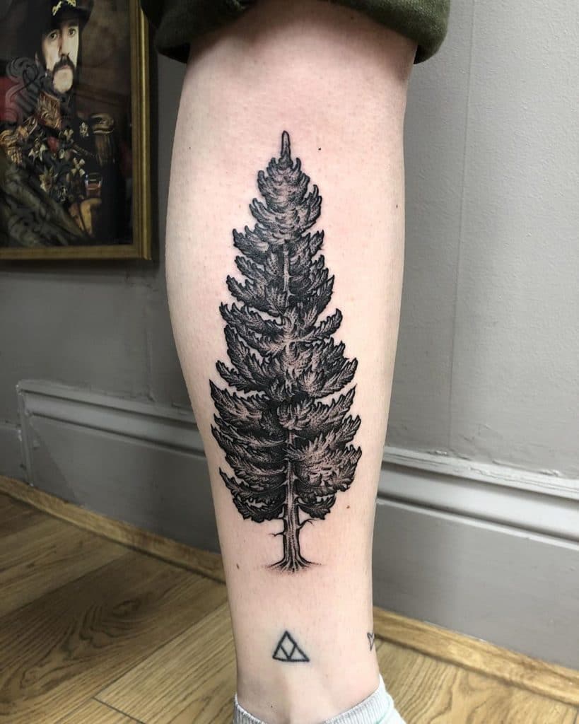 pine tree tattoo