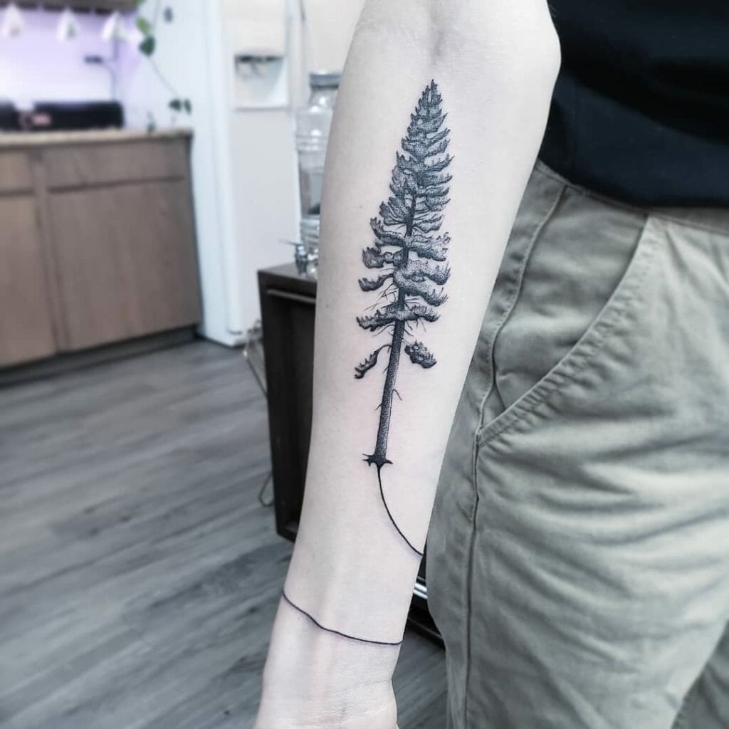 pine tree tattoo