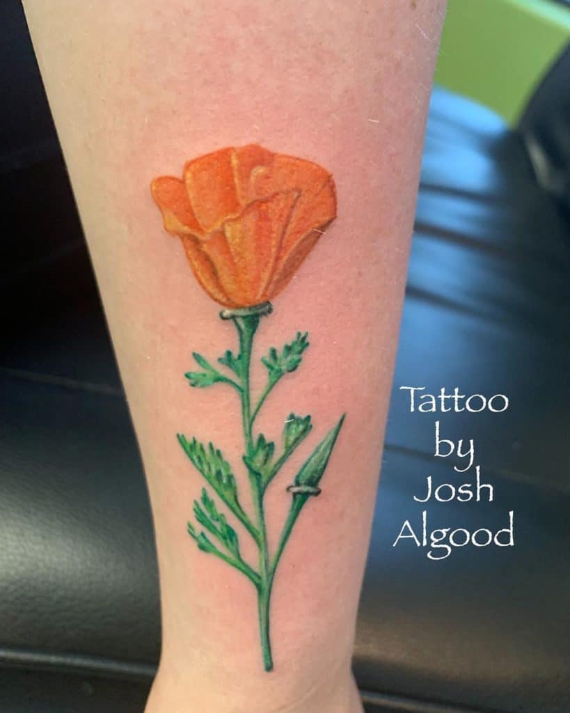 poppy tattoo