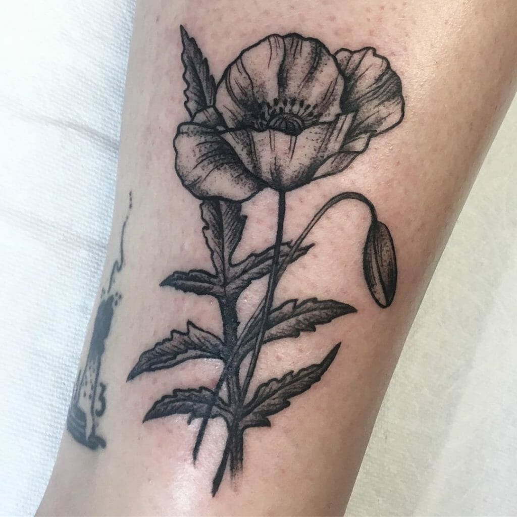 poppy tattoo