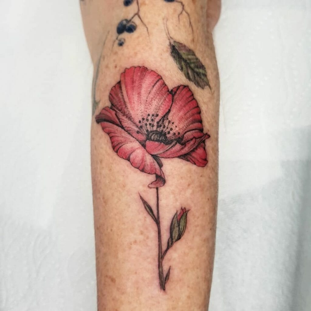 poppy tattoo