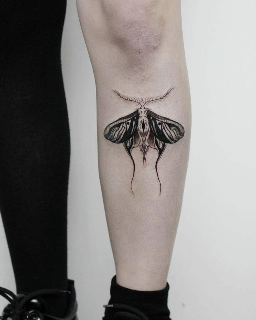 moth tattoo