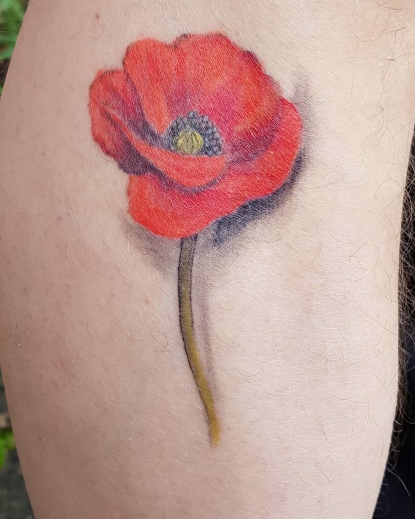 poppy tattoo