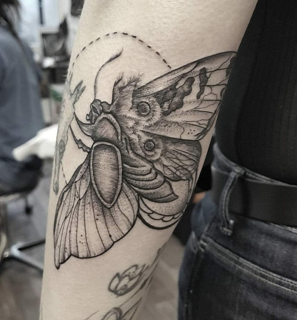 moth tattoo