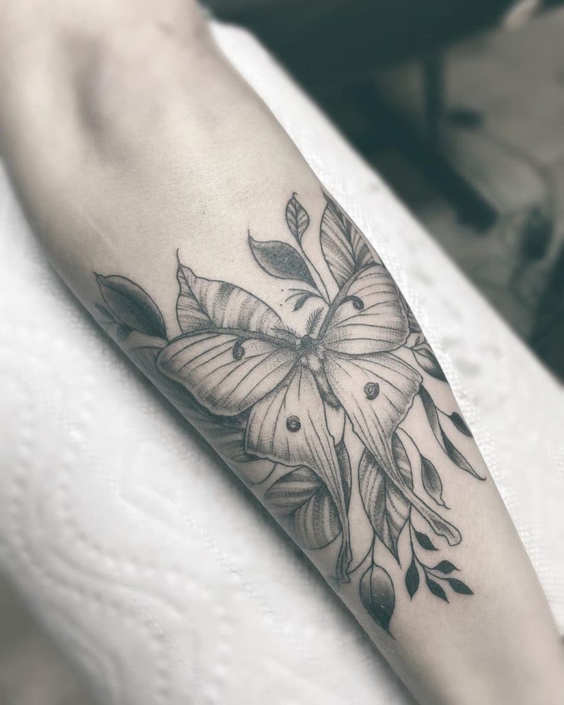 moth tattoo