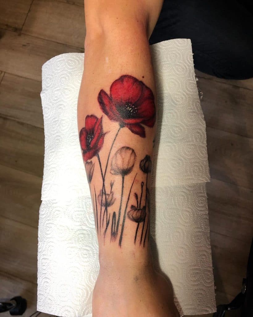 poppy tattoo