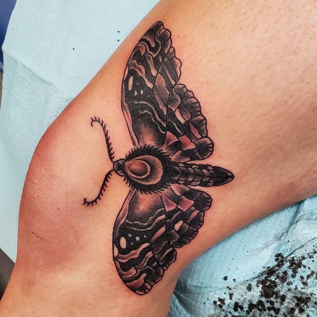 moth tattoo