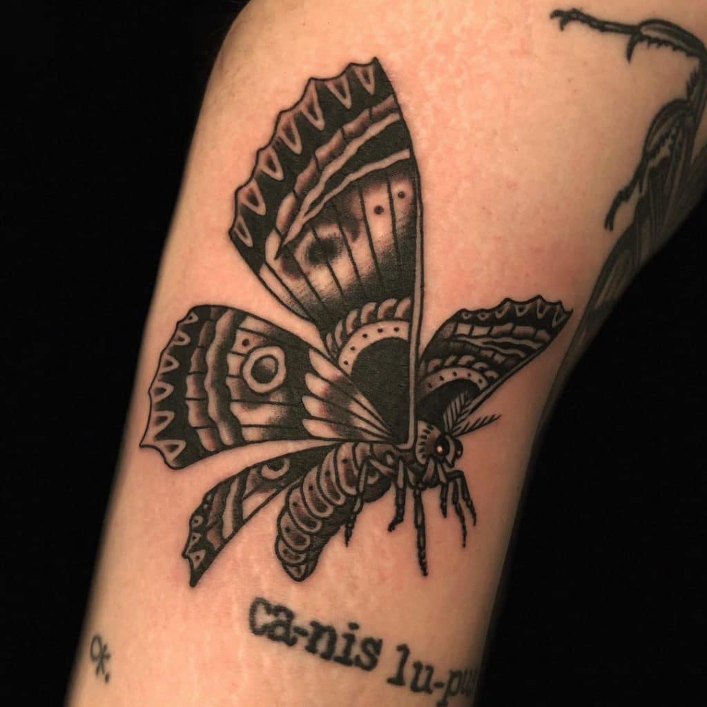 moth tattoo