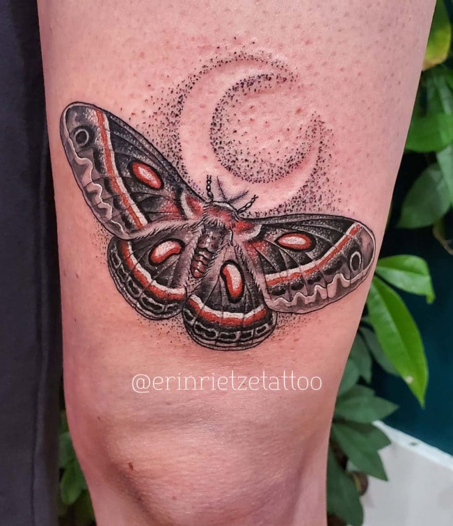 moth tattoo