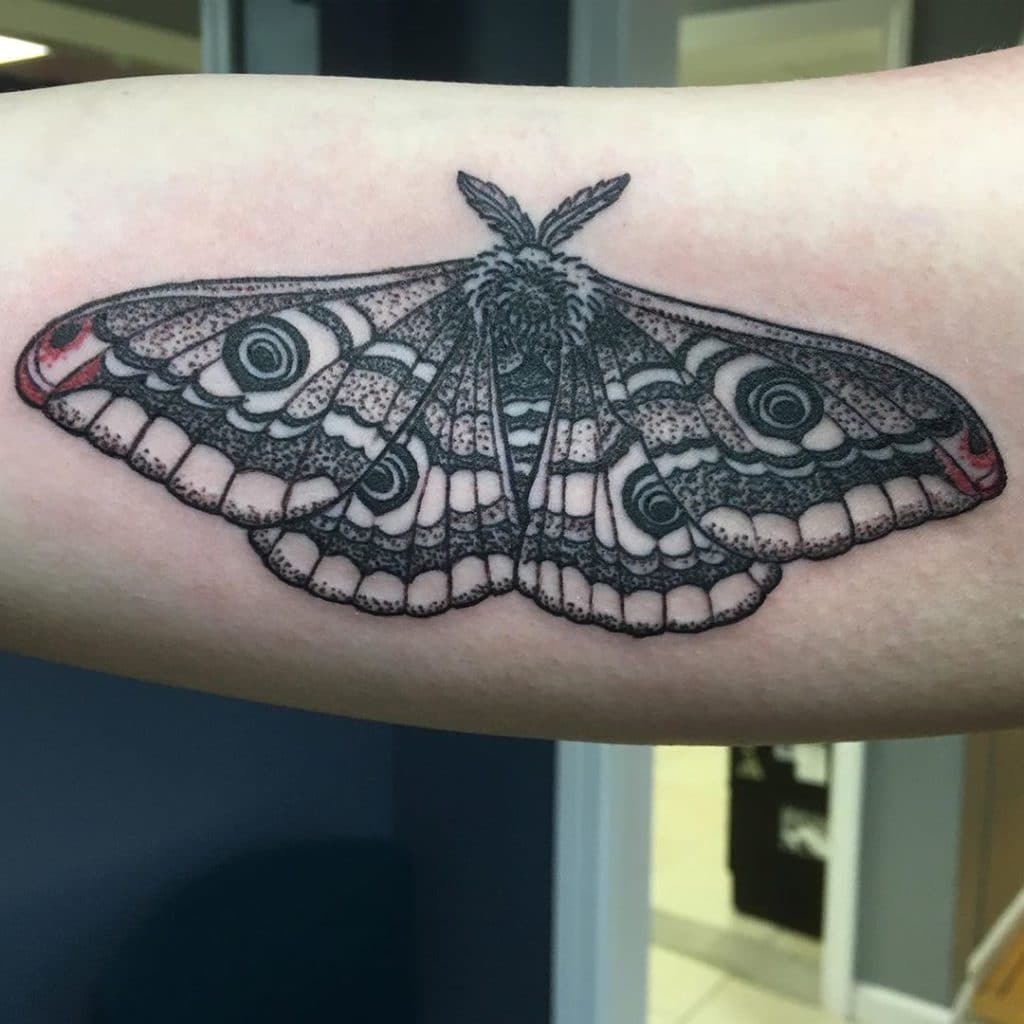 moth tattoo